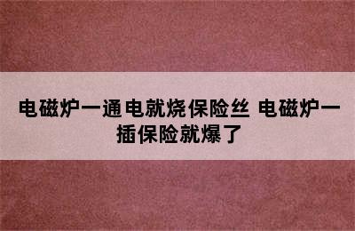 电磁炉一通电就烧保险丝 电磁炉一插保险就爆了